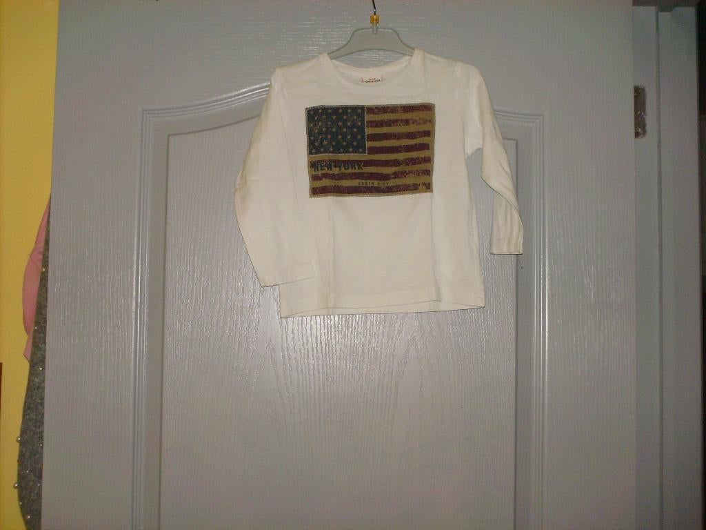 a vendre tee short enfant, Kinderen en Baby's, Kinderkleding | Maat 104, Ophalen of Verzenden, Zo goed als nieuw, Jongen, Overige typen