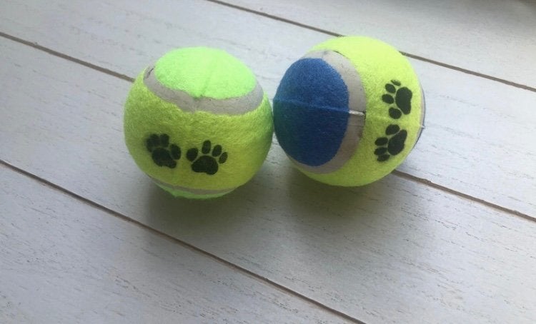 speelbal hond, Animaux & Accessoires, Accessoires pour chiens, Enlèvement ou Envoi, Neuf