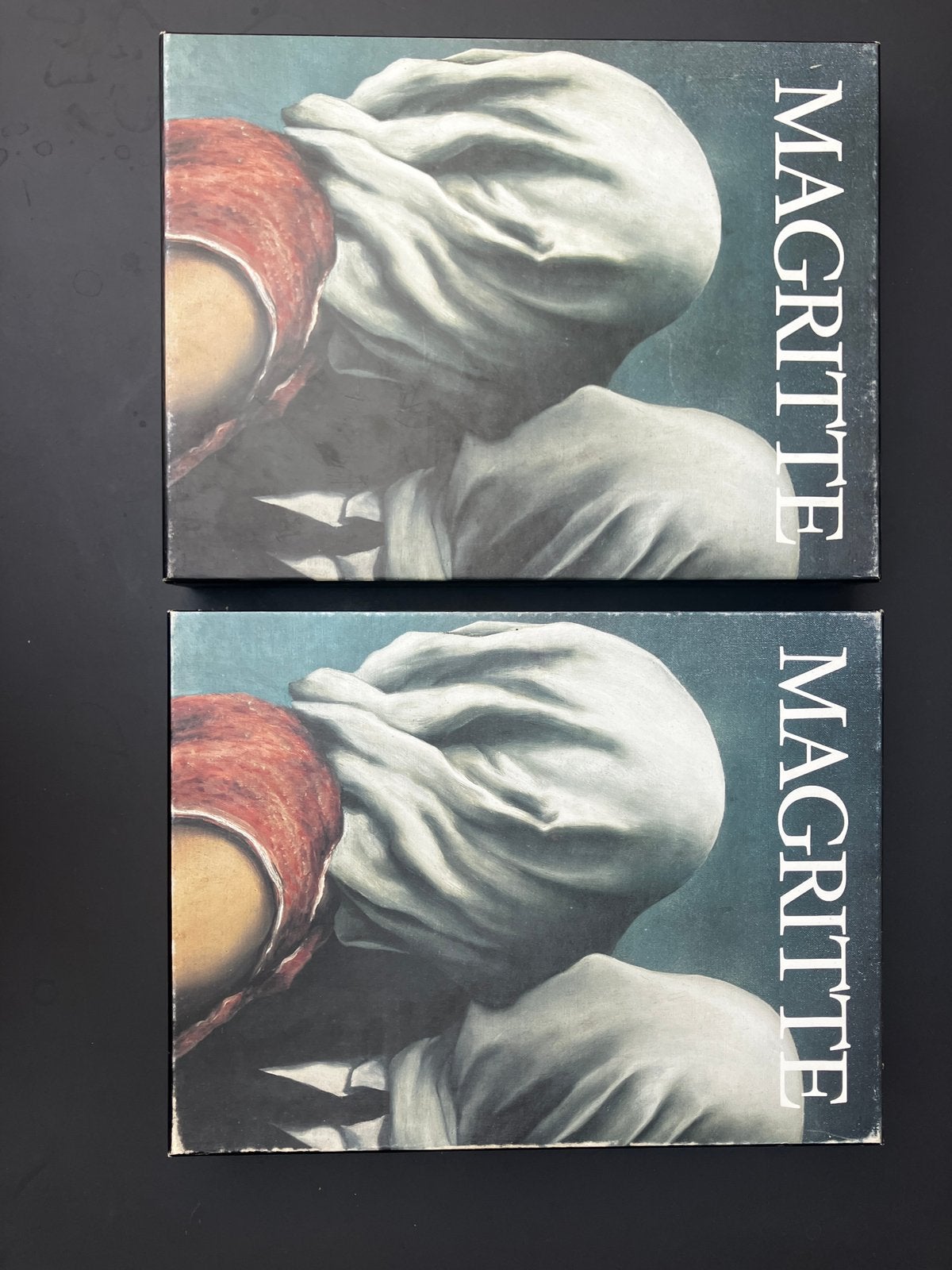 Magritte David Sylvester, Tilly Maters, Boeken, Ophalen