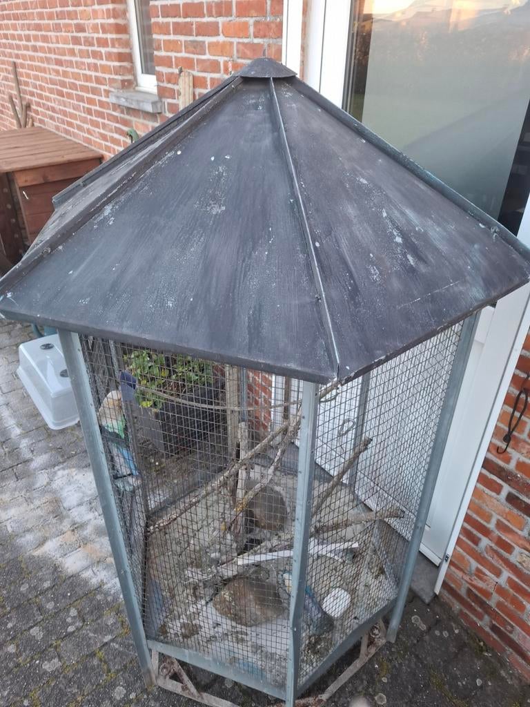 Vogelkooi, Dieren en Toebehoren, Ophalen, Vogelkooi