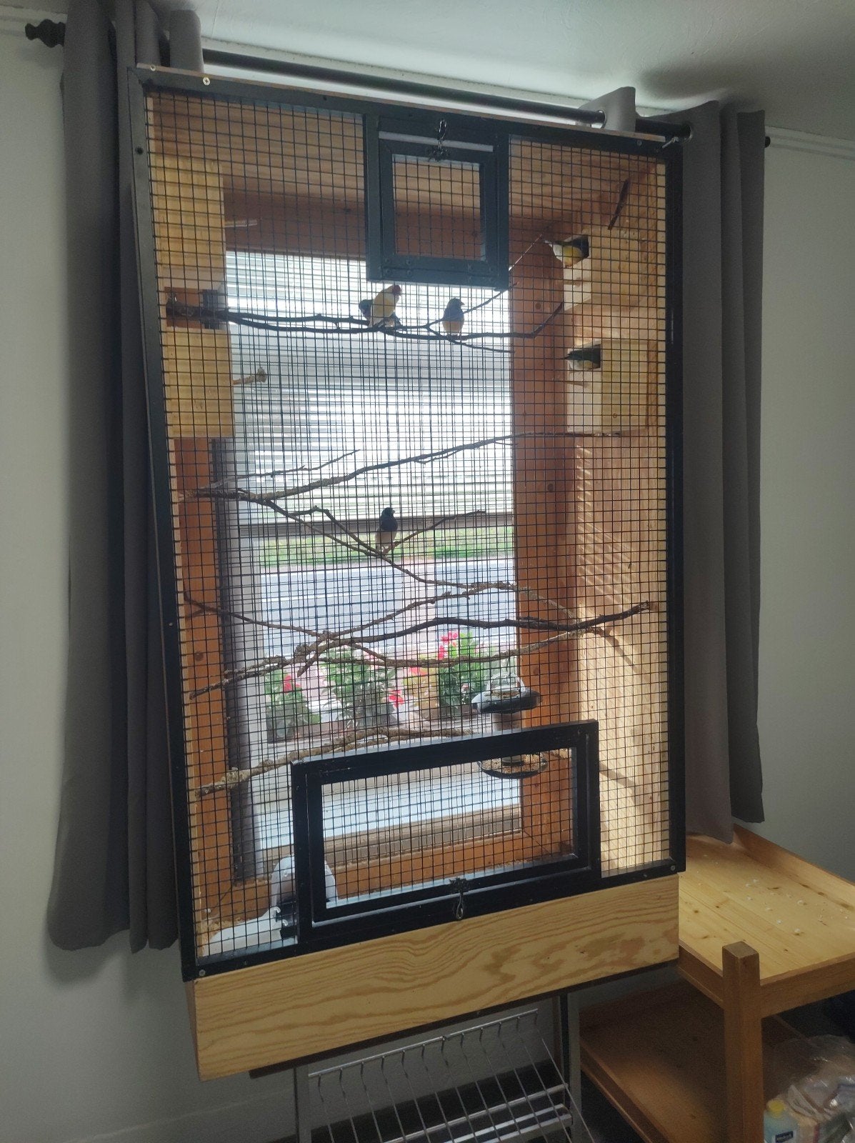 vogelkooi met goudamadienes, Dieren en Toebehoren, Ophalen, Vogelkooi