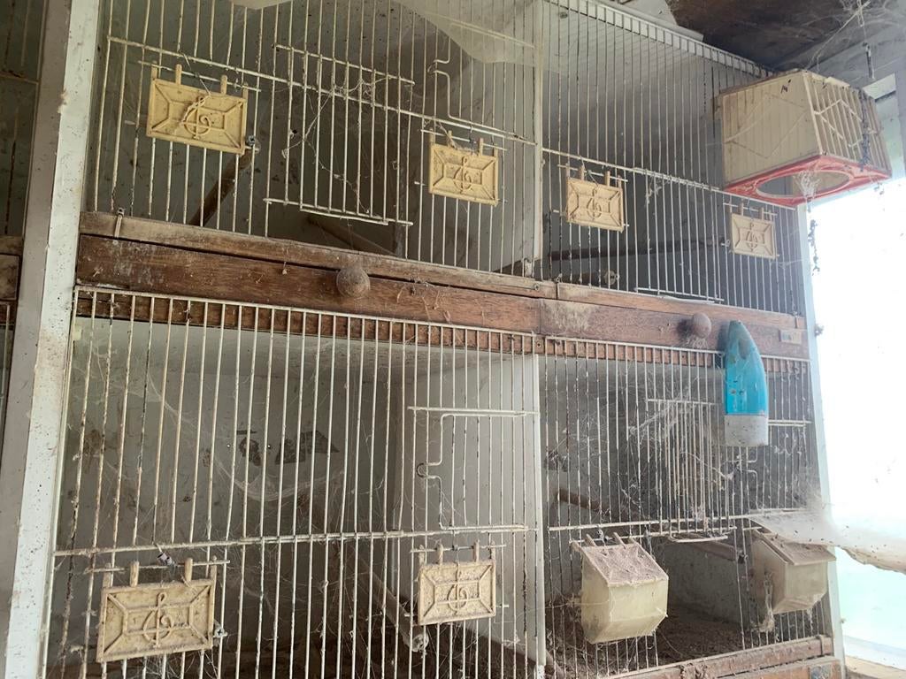 Cages d'élevage pour canaris
