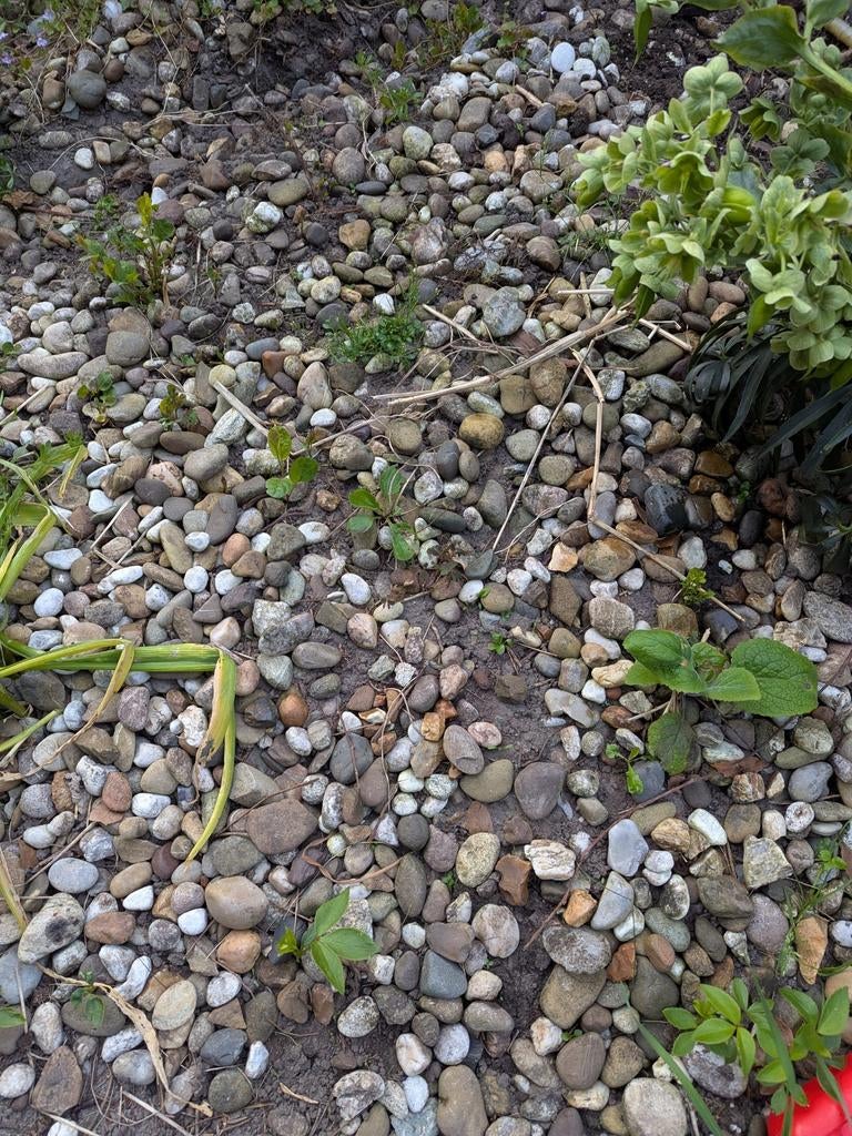 Sierkeien, Sierstenen, grind, +- 2 m³, Tuin en Terras, Grind, Keien en Split, Ophalen, Grind