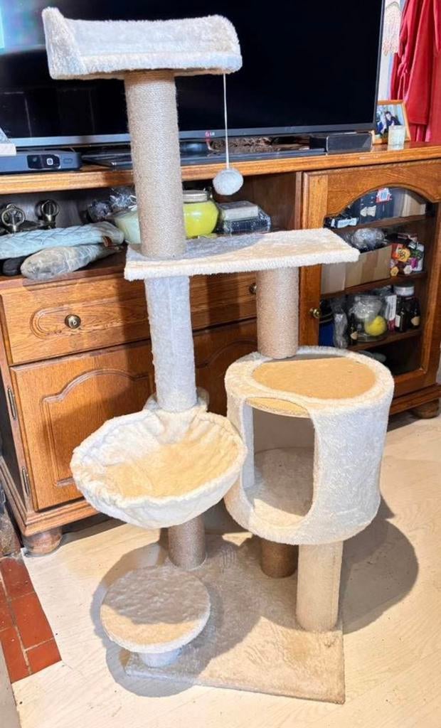 5 krappalen poes/kat, Enlèvement, Comme neuf