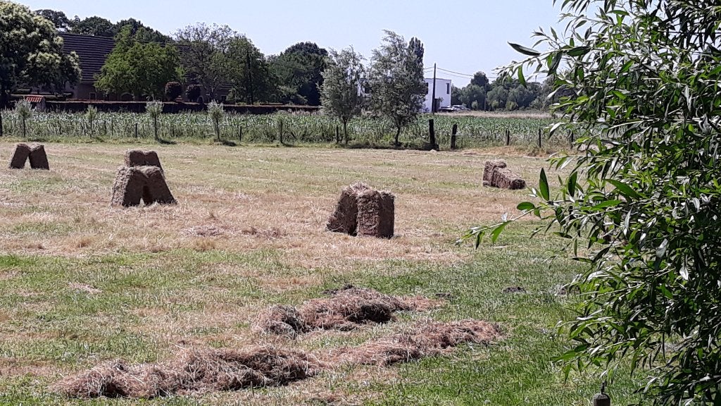 Kleine balen hooi dit en vorig jaar, Dieren en Toebehoren, Schapen, Geiten en Varkens
