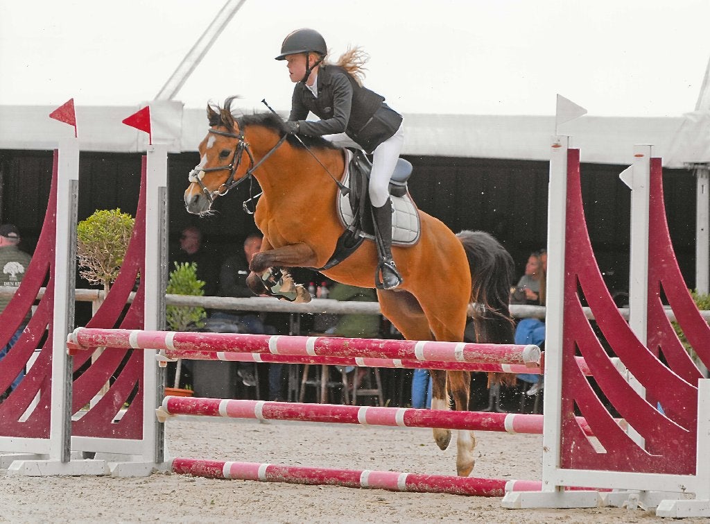 Lieve  Sportpony, Dieren en Toebehoren, Met stamboom, Ruin, Springpony, C pony (1.27m tot 1.37m)
