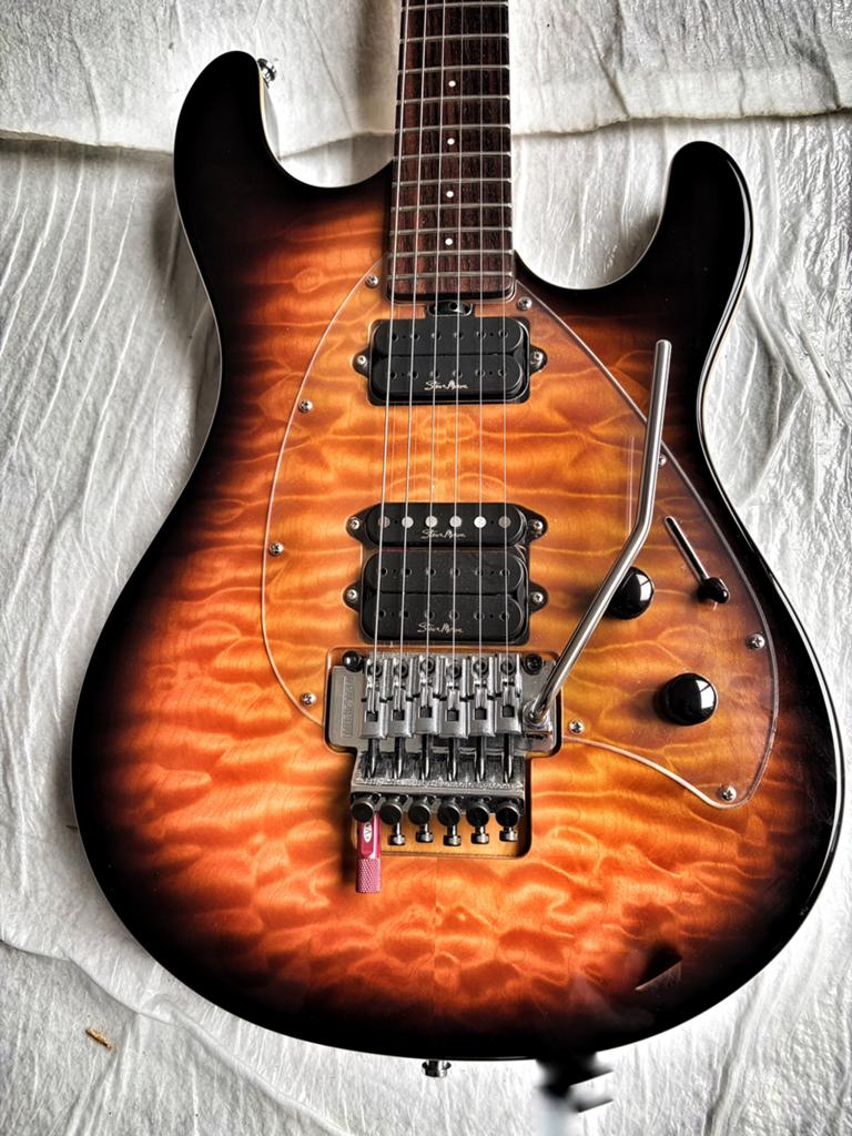 Échange possible entre le musicien Y2D Steve Morse (échange), Musique & Instruments, Instruments à corde | Guitares | Électriques