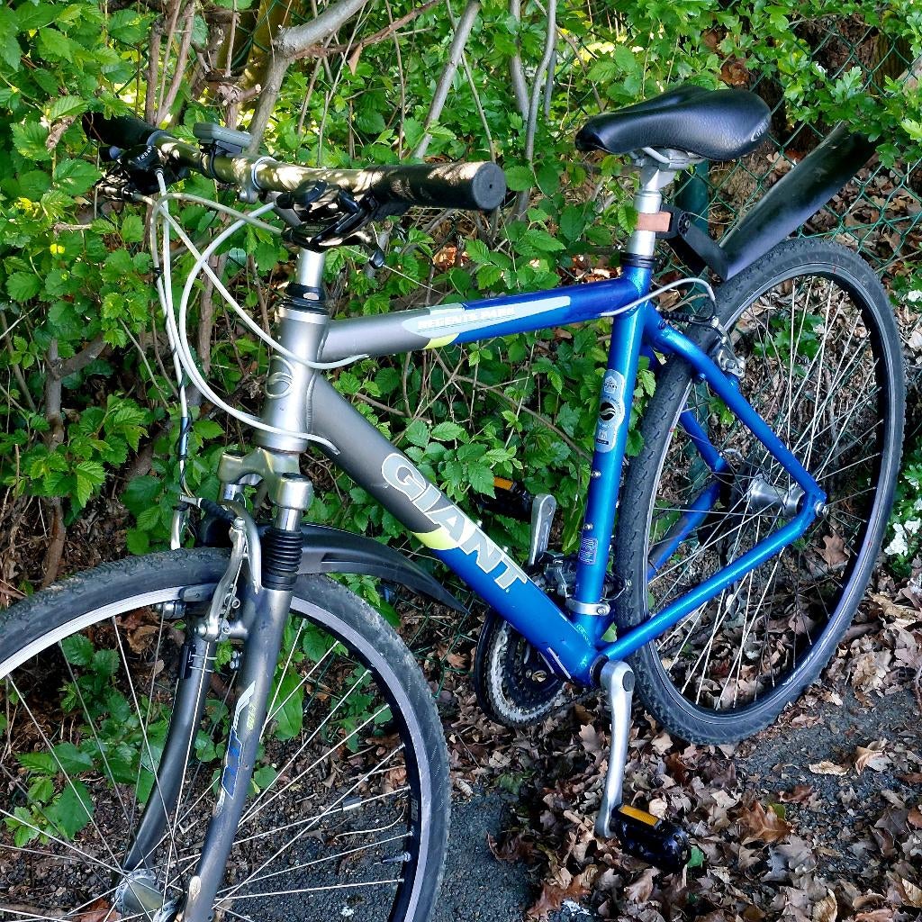 Velo, Ophalen of Verzenden, Giant, Versnellingen