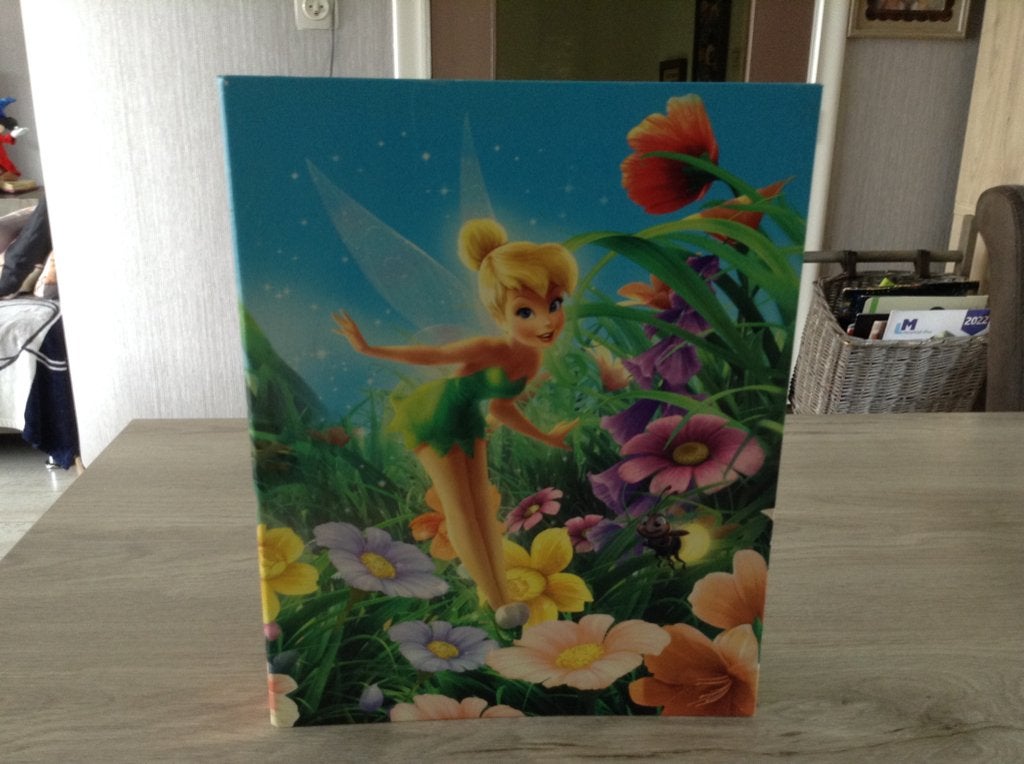 Disney Tinkerbell A4 ringmap, Ophalen of Verzenden, Zo goed als nieuw