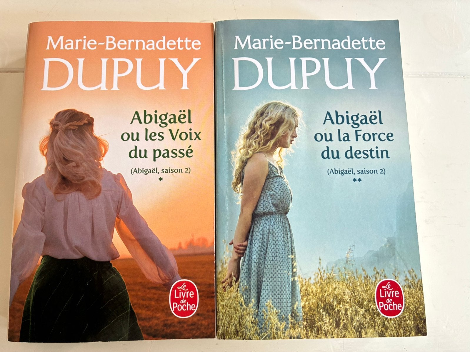 Marie Bernadette Dupuy lot 6 titres, Livres, Romans, Enlèvement, Utilisé