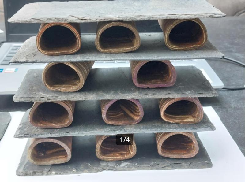 10 leiplaten voor legholstapelingen of eierafzettingen, Dieren en Toebehoren, Vis, Zoetwatervis