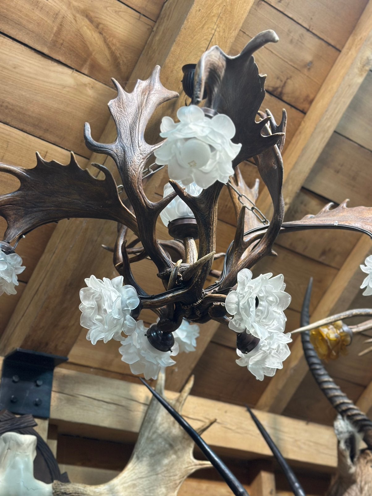 Gewei luster groot damhert glazen bloemen, Enlèvement