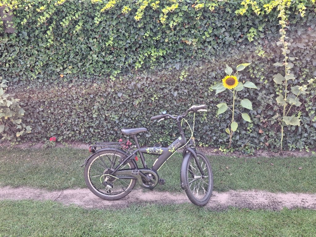 Golden lion rock kinder fiets 3 tot 6jaar, Fietsen en Brommers, Velgrem, Ophalen, Overige merken, 16 tot 20 inch