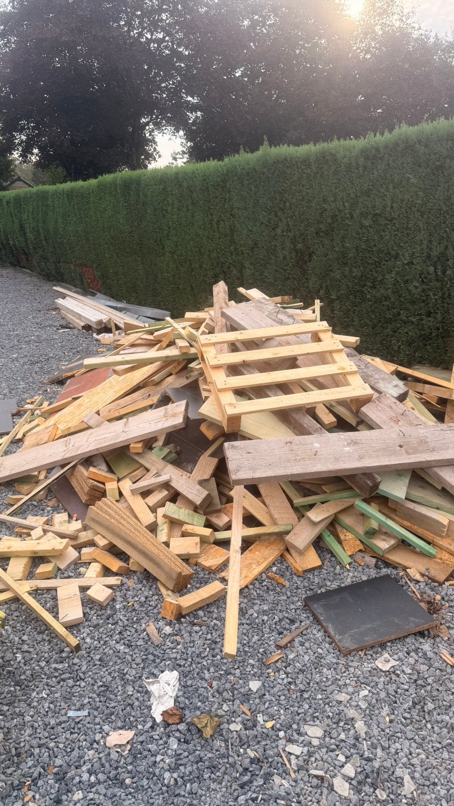 Gratis brandhout af te halen in Zutendaal, Tuin en Terras, Ophalen
