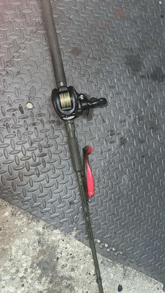 Vishengels te koop, Enlèvement, Comme neuf, Canne à pêche complète