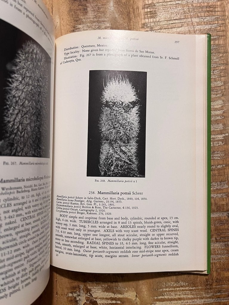 The Mammillaria Handbook - Robert T. Craig, Boeken, Gelezen, Bloemen, Planten en Bomen, Robert T. Craig, Ophalen of Verzenden