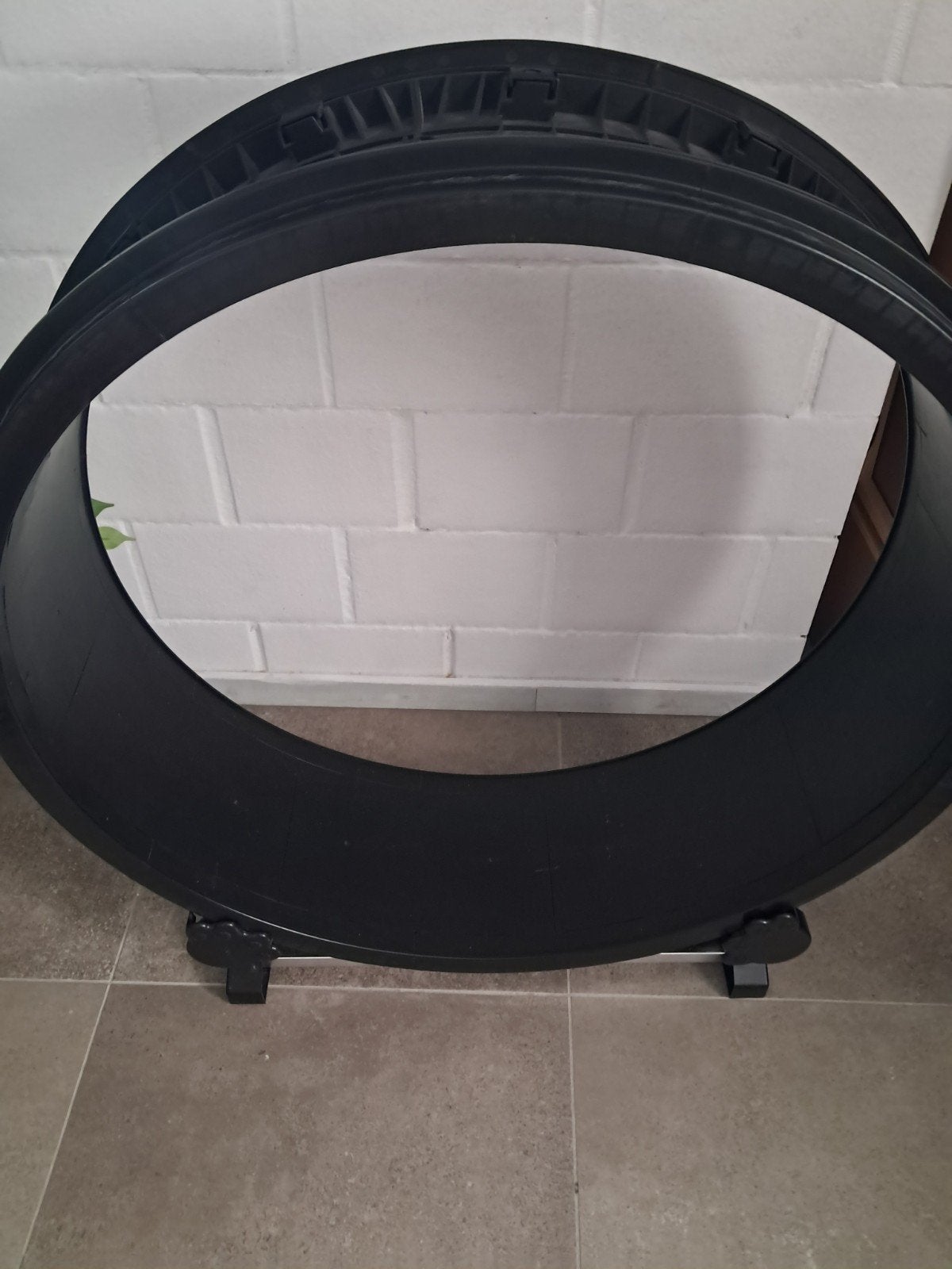 Loopband voor katten., Enlèvement