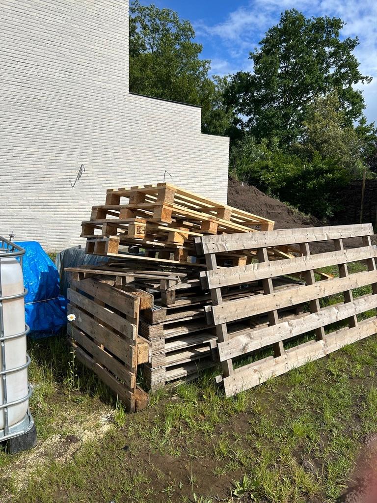 GRATIS palletten, Minder dan 3 m³, Ophalen, Overige houtsoorten, Takken