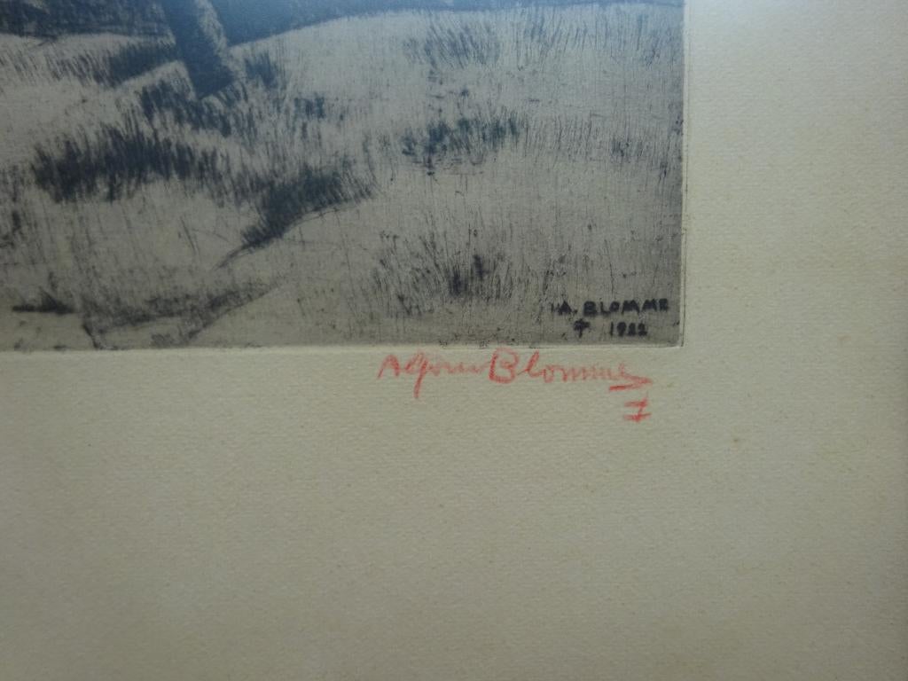 Alfons Blomme, ets, Bomen, 30 x 30 cm, Eau-forte, Signé, 30 cm, Enlèvement ou Envoi