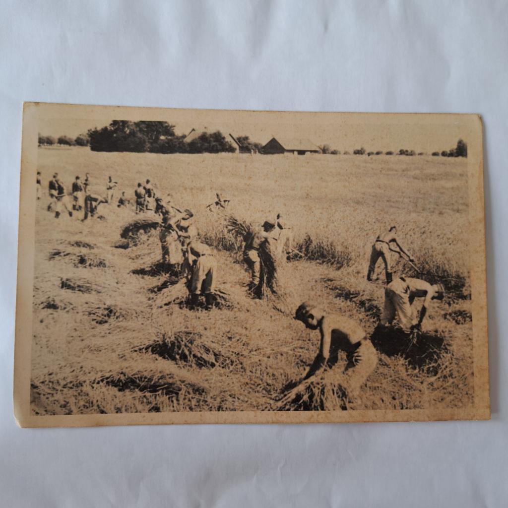 Historische RAD persfoto – Oogsthelpers Oost-Pruisen 1938, Ophalen of Verzenden