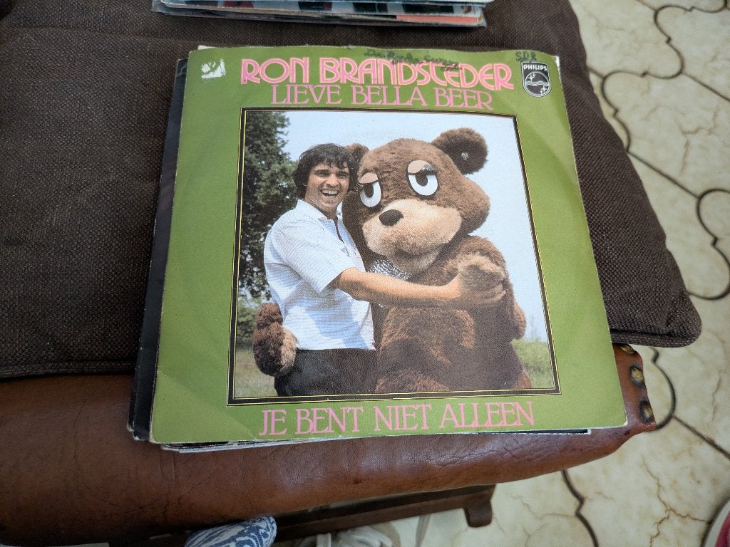 Ron brandsteder, Enlèvement ou Envoi, Comme neuf, En néerlandais
