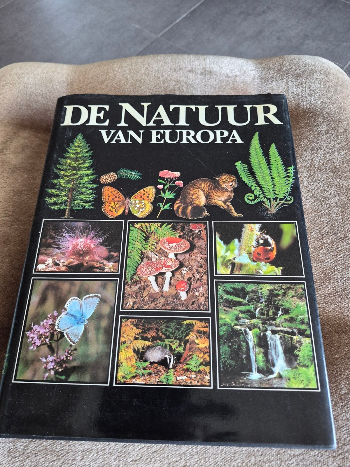 De Natuur van Europa, Livres, Nature, Utilisé, Nature en général, Enlèvement ou Envoi