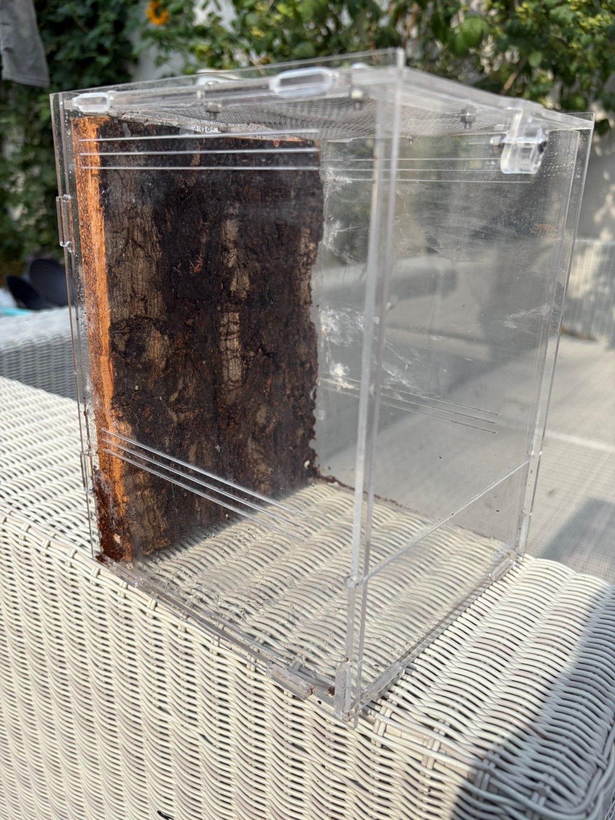 Terrarium plastic, Dieren en Toebehoren, Ophalen, Zo goed als nieuw