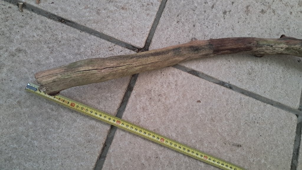 XXL Eikentak 120cm– Premium Hout voor Aquarium & Terrarium, Ophalen, Nieuw, Tak, Plant, Rots of Steen