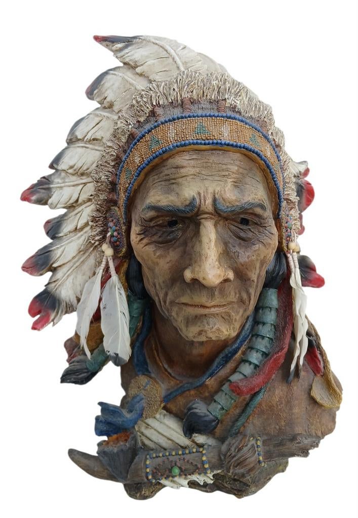 Prachtige Indianen kop., Ophalen, Kunststof