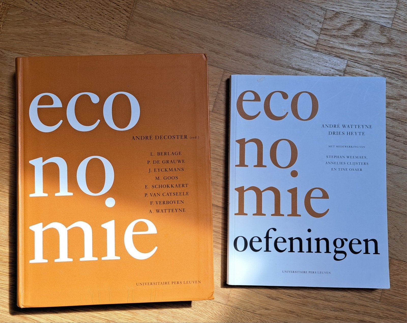 boek economie