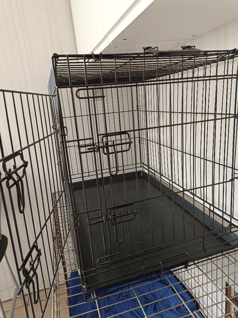 Honden beng, Animaux & Accessoires, Accessoires pour chiens, Enlèvement