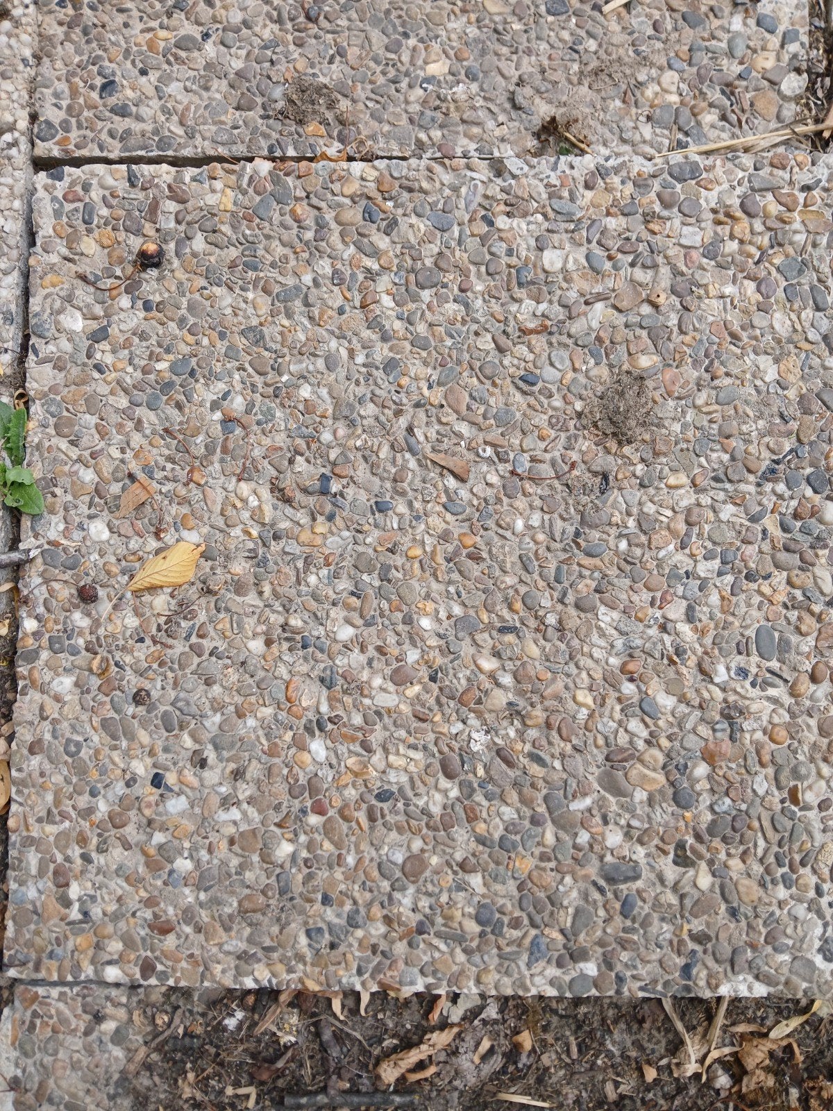 Dals/tegels, Tuin en Terras, Ophalen