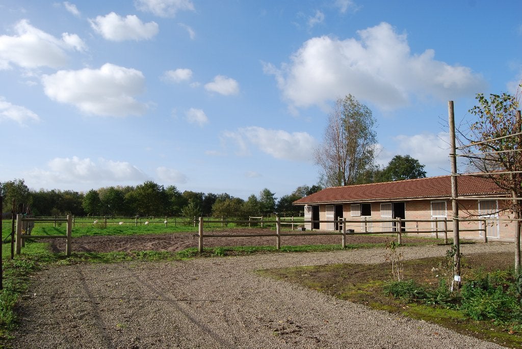 Paardenstalling beschikbaar in Laarne, Dieren en Toebehoren, Stalling, 1 paard of pony