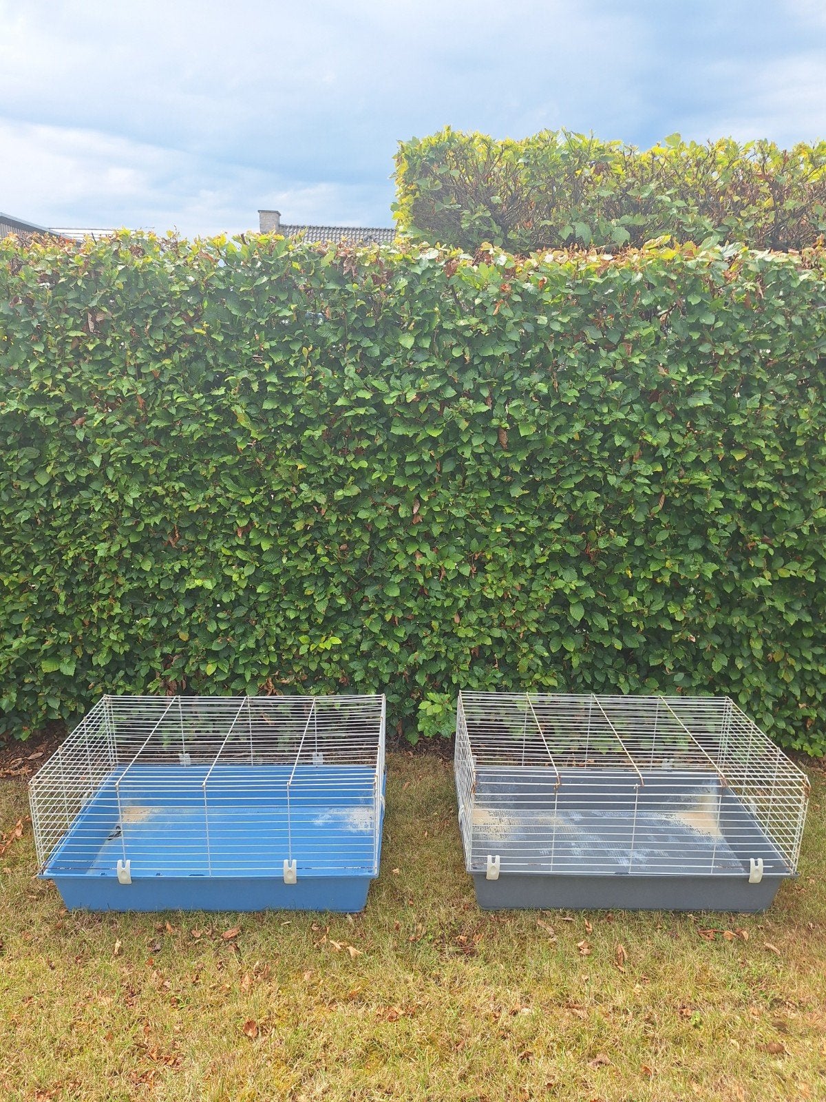 Hokjes voor knaagdieren, Gebruikt, Cavia, Hok, 75 tot 110 cm