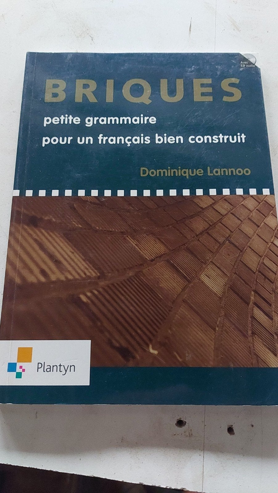 Lannoo - Briques, Enlèvement, Néerlandais, Lannoo