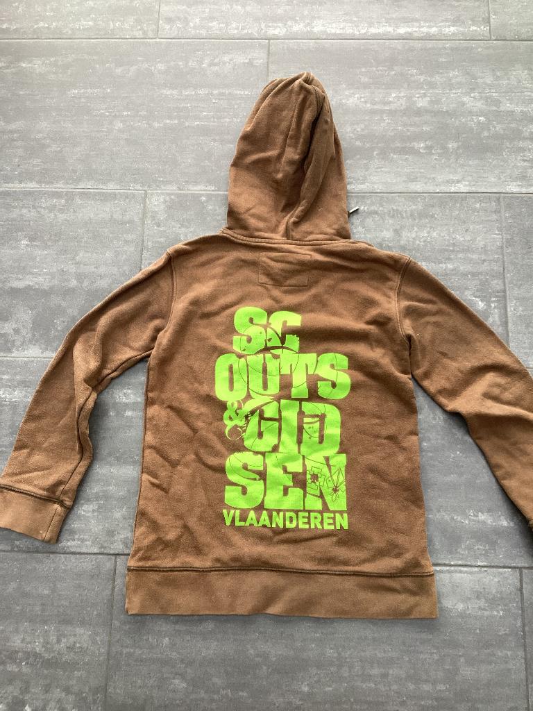 Scoutstrui, Garçon ou Fille, Enlèvement ou Envoi, Pull ou Veste, Scouts hopper