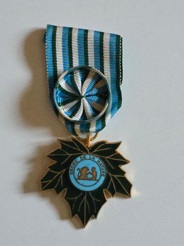 Medaille, Verzenden, Overige soorten, Lintje, Medaille of Wings