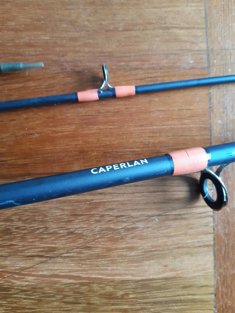 Canne carpe caperlan neuve, Enlèvement