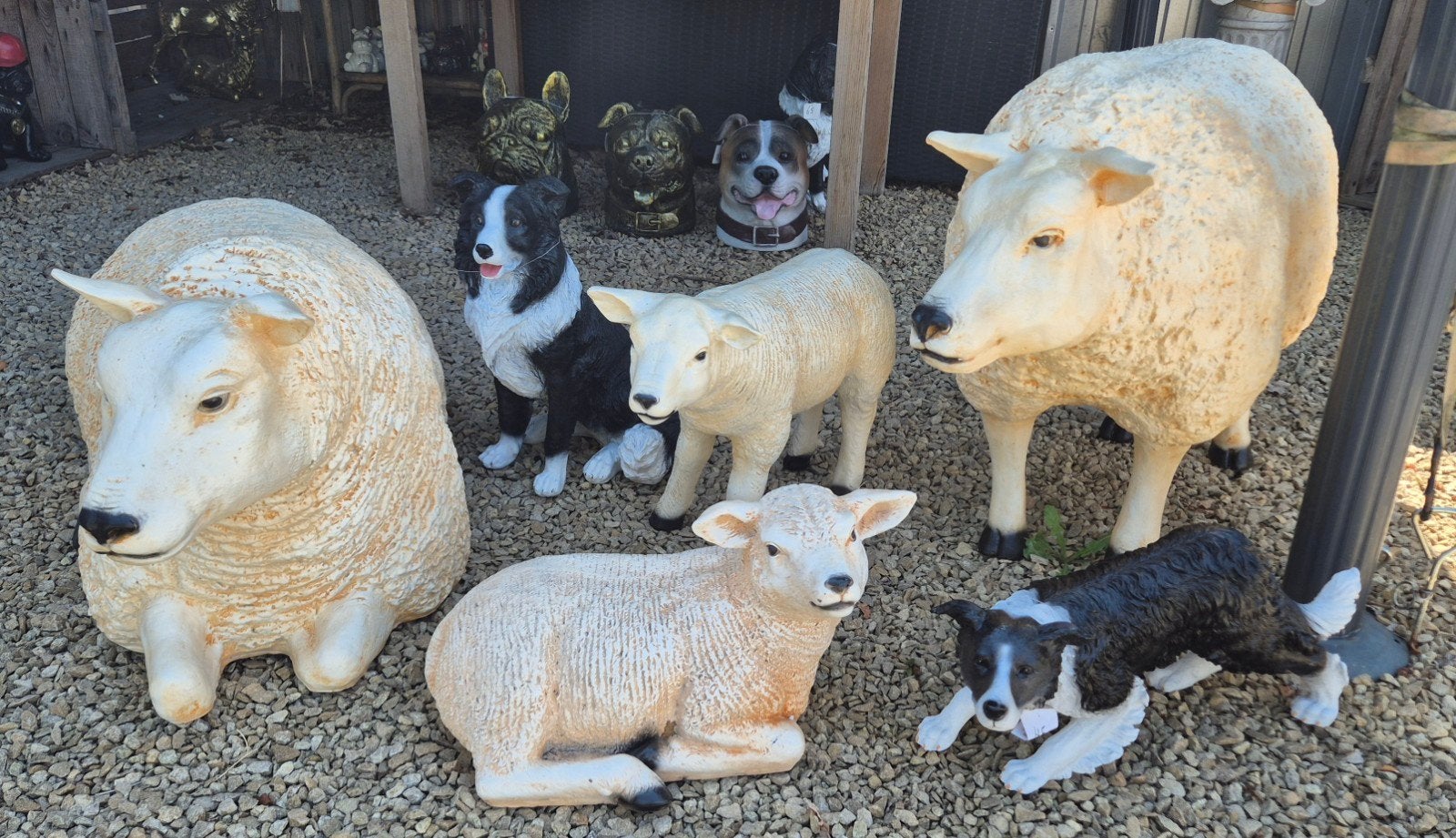 texel schapen, lam en border collies, Ophalen of Verzenden, Nieuw, Kunststof, Dierenbeeld