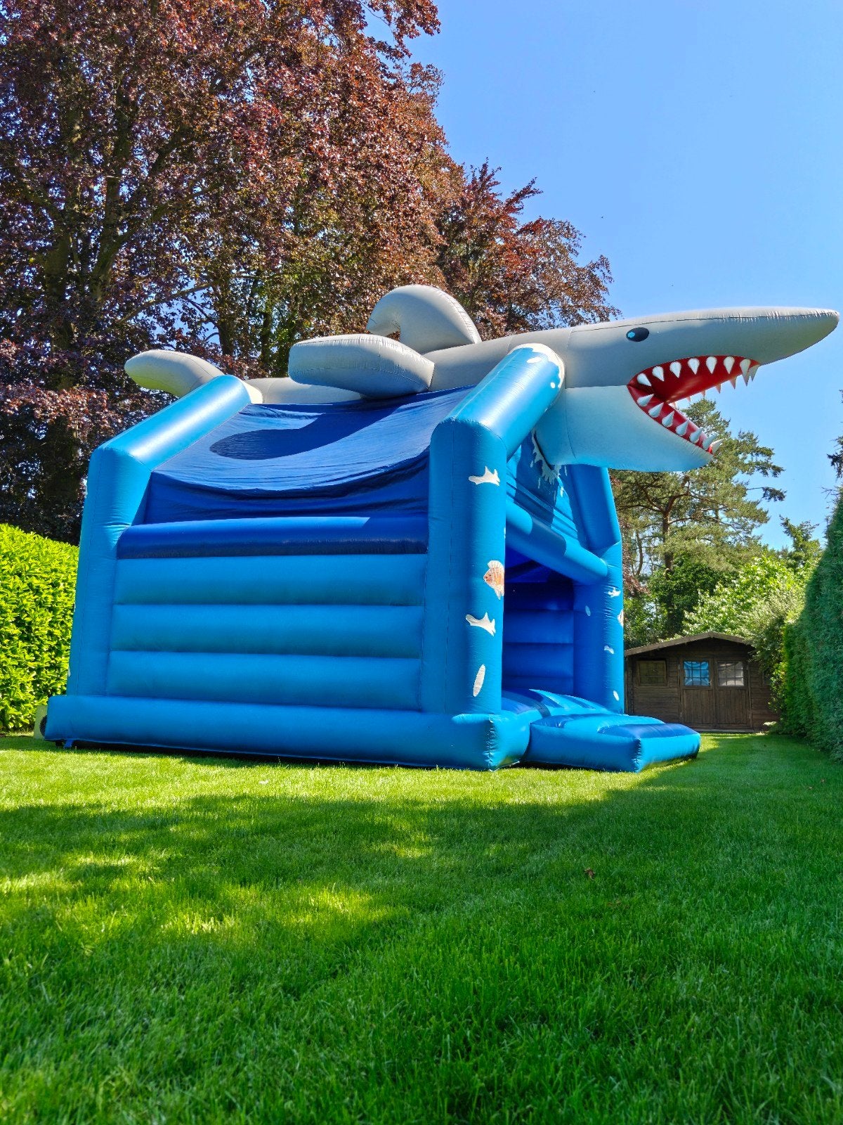 Springkasteel Haai, Hobby & Loisirs créatifs, Articles de fête | Location, Enlèvement