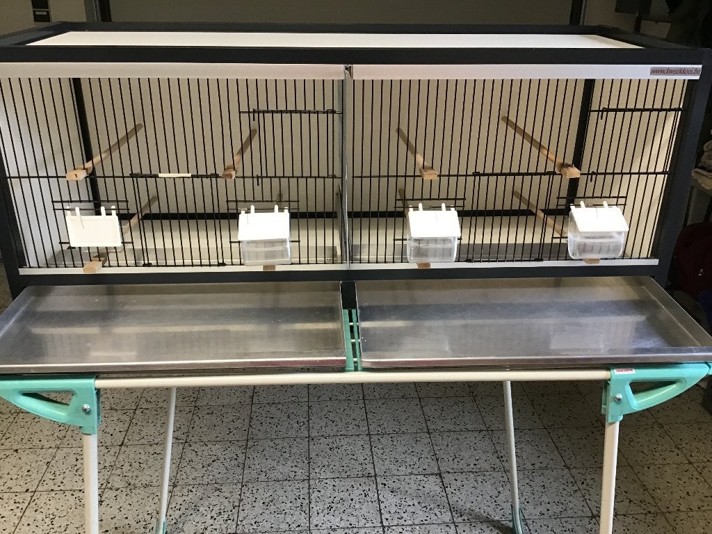 Vogelkooi, Dieren en Toebehoren, Ophalen, Gebruikt, Overige materialen, Vogelkooi