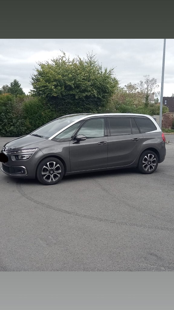 Citroën C4 SpaceTourer 2020 EURO6D, Achat, Euro 6, Entreprise, 7 places