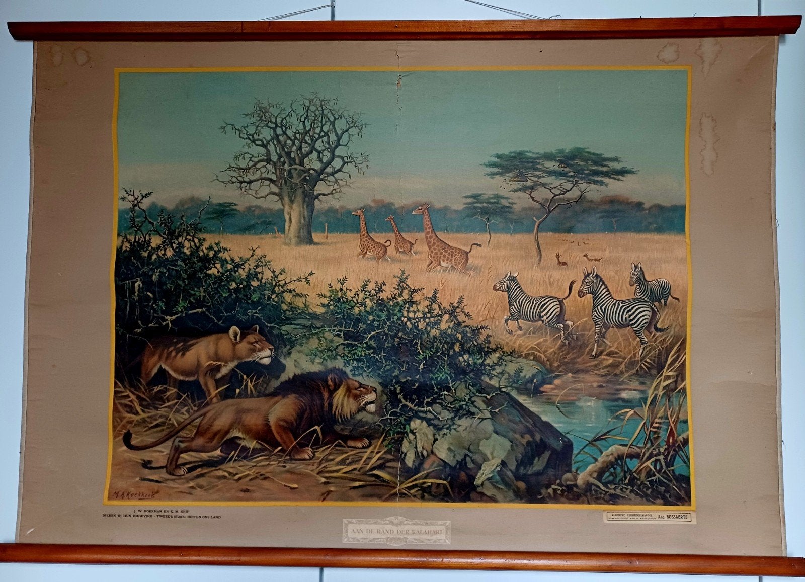 animaux africains imprimés à l'ancienne, Antiquités & Art, Antiquités | Cartes scolaires, Enlèvement ou Envoi