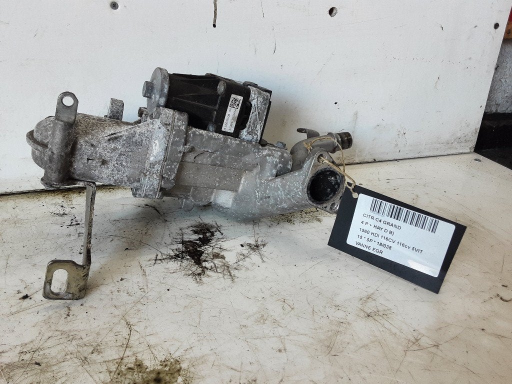 EGR KLEP Citroën C4 Grand Picasso (3A) (702209140), Gebruikt, Citroën, Mevr. I. Hauben, Rue de l'Espoir 34 34
4030  GRIVEGNÉE, BE
