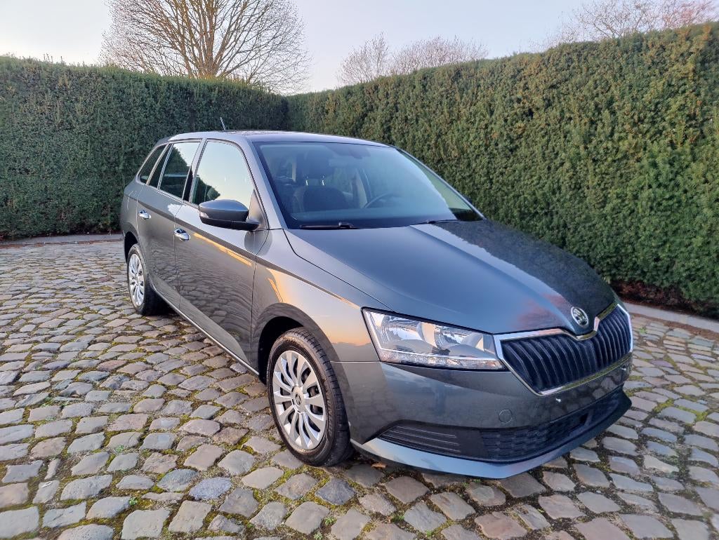 Skoda Fabia SW 1.0 TSI Ambition, Argent ou Gris, Achat, Euro 6, Entreprise