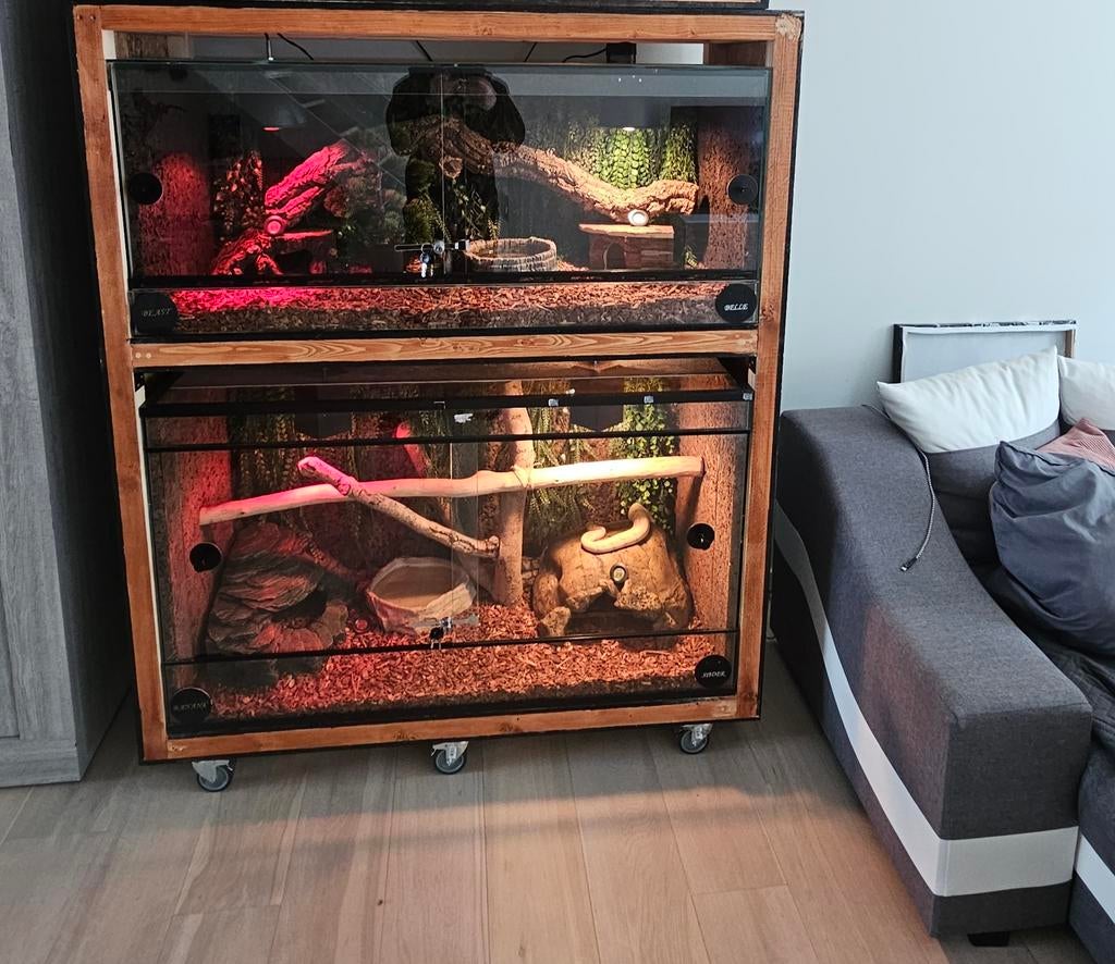 Terrarium te koop en kast, Dieren en Toebehoren, Reptielen en Amfibieën | Toebehoren, Ophalen