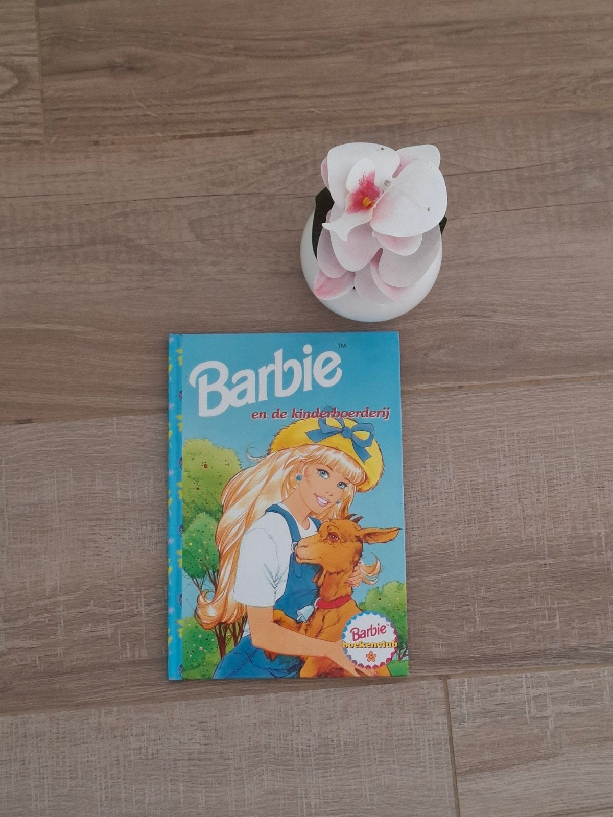 barbie boeken, Boeken, Ophalen of Verzenden