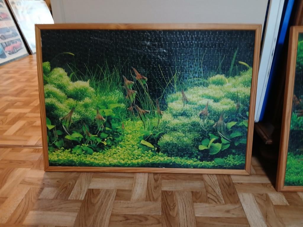 Puzzel Kader vissen, Ophalen, Zo goed als nieuw, Hout