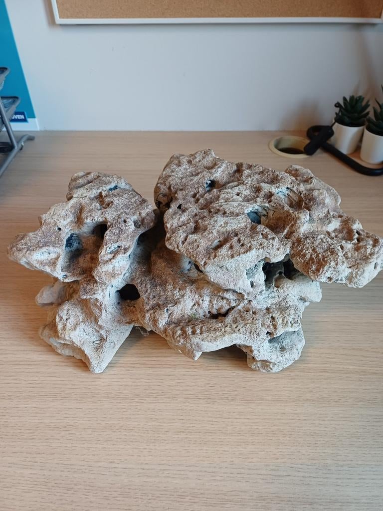 Grote aquarium neprots, Dieren en Toebehoren, Ophalen, Gebruikt