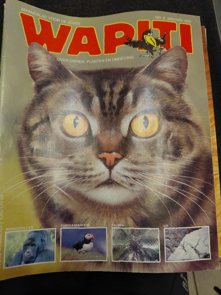 Wapiti volledige jaargang 1990, Ophalen of Verzenden, 1980 tot heden, Tijdschrift
